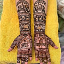 WhatsApp Image 2024-02-22 at 3.44.09 PM